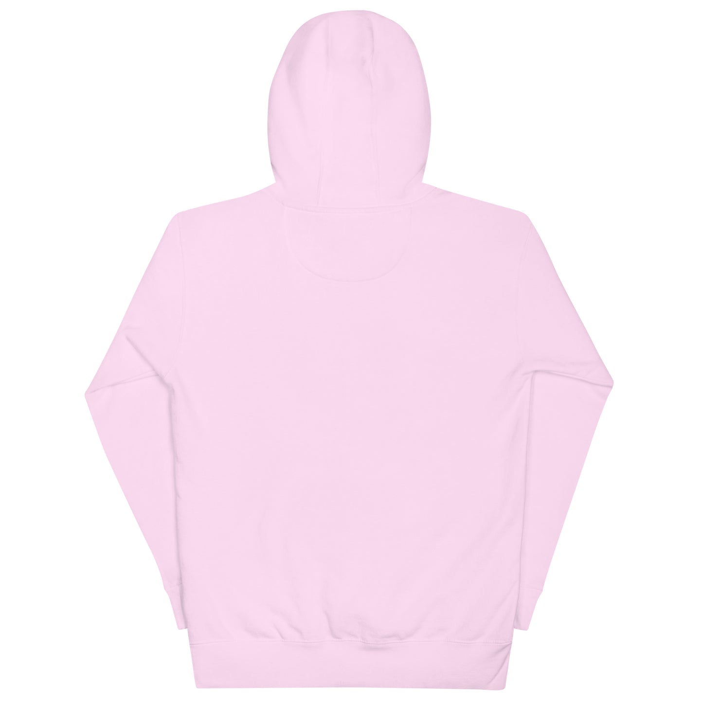 Back view of the Be Bold Joshua 1:9 light pink Christian hoodie by The Avielle