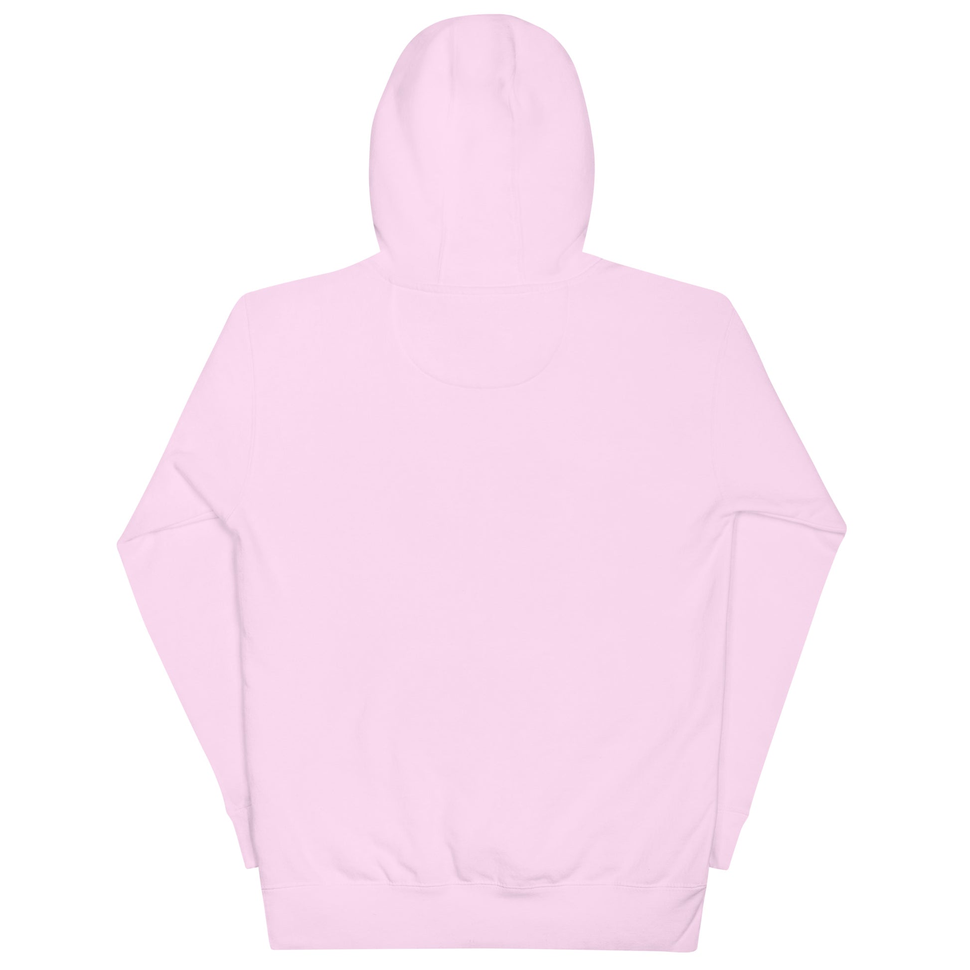 Back view of the Be Bold Joshua 1:9 light pink Christian hoodie by The Avielle