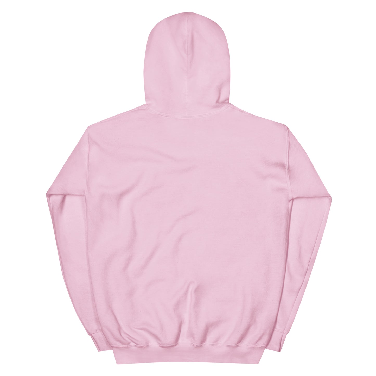 Love My Church embroidered light pink unisex hoodie by The Avielle