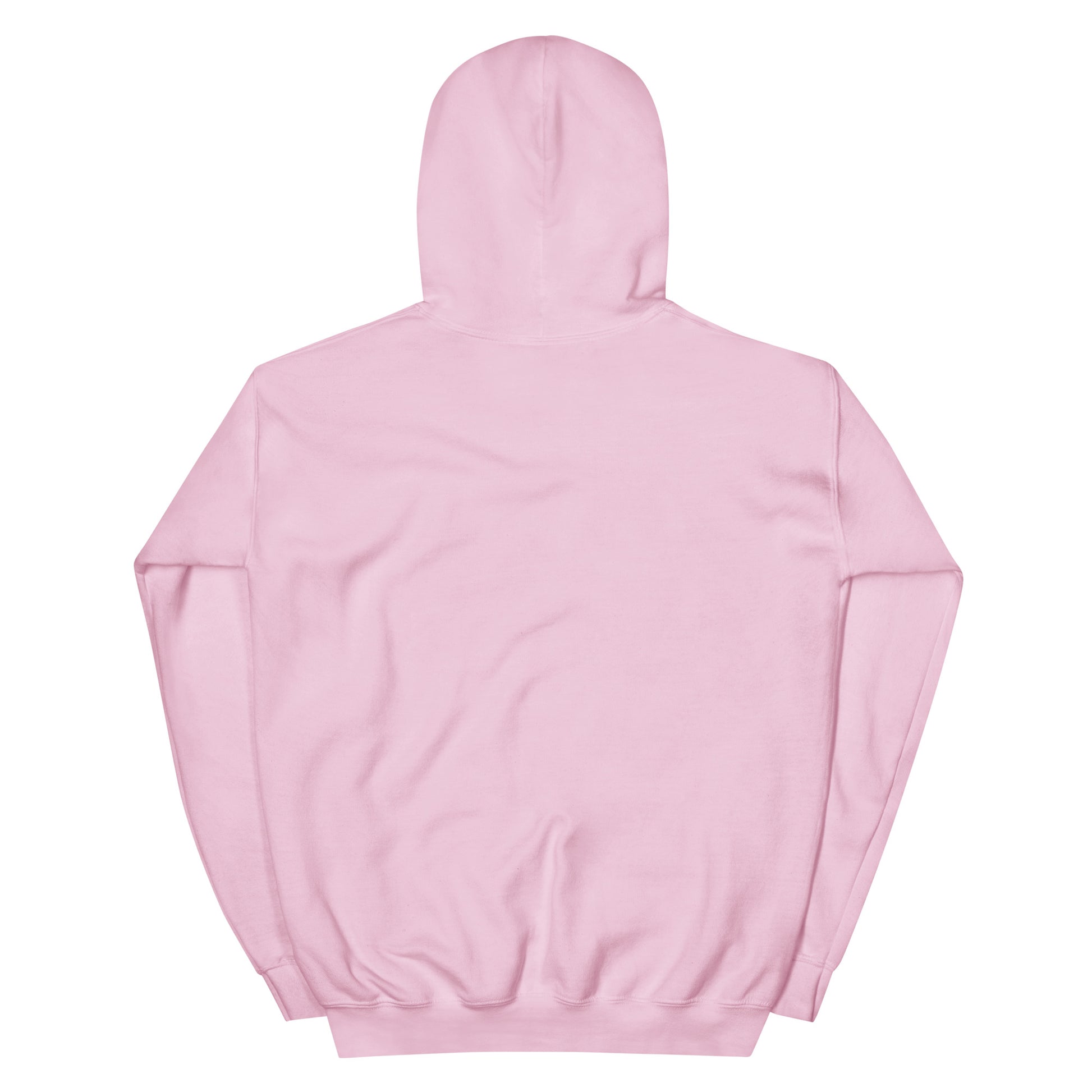 Love My Church embroidered light pink unisex hoodie by The Avielle