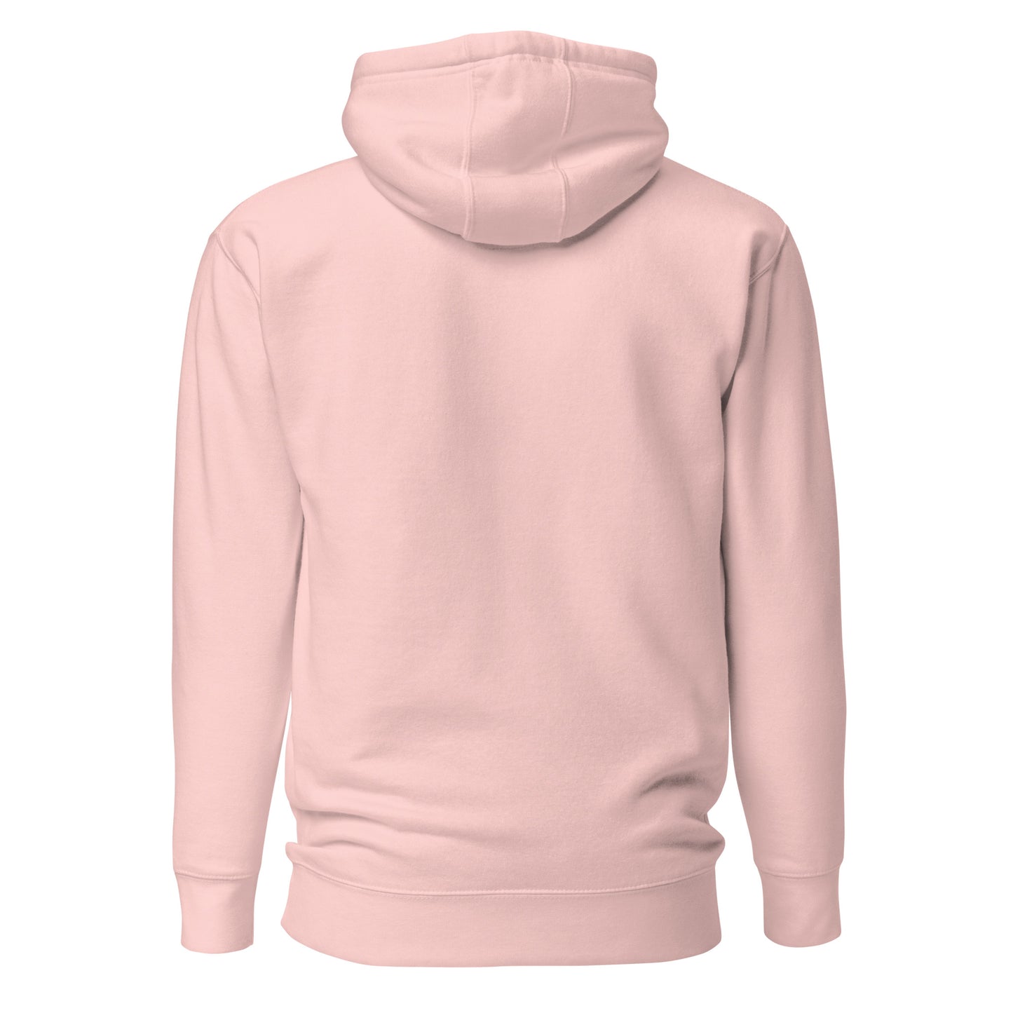 Back view of The Lord Is My Light Psalm 27:1 Christian hoodie in light pink.