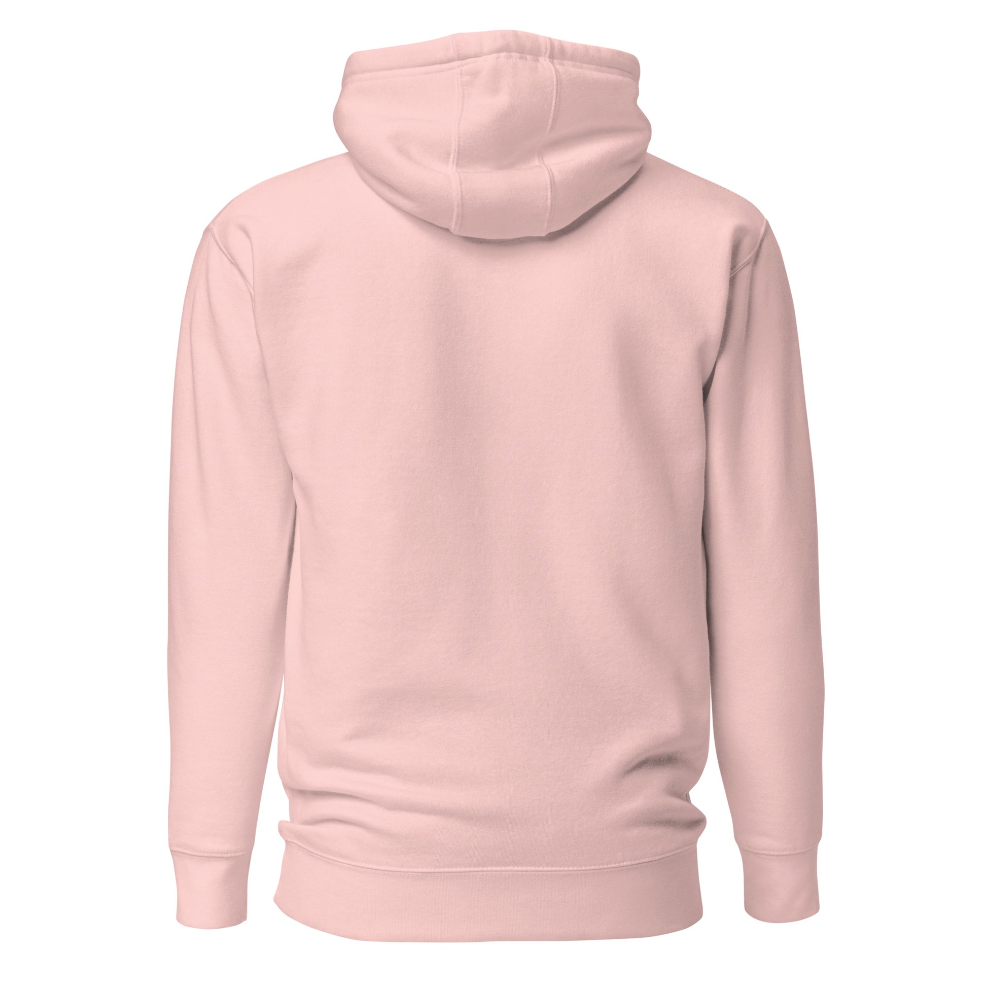 Back view of The Lord Is My Light Psalm 27:1 Christian hoodie in light pink.