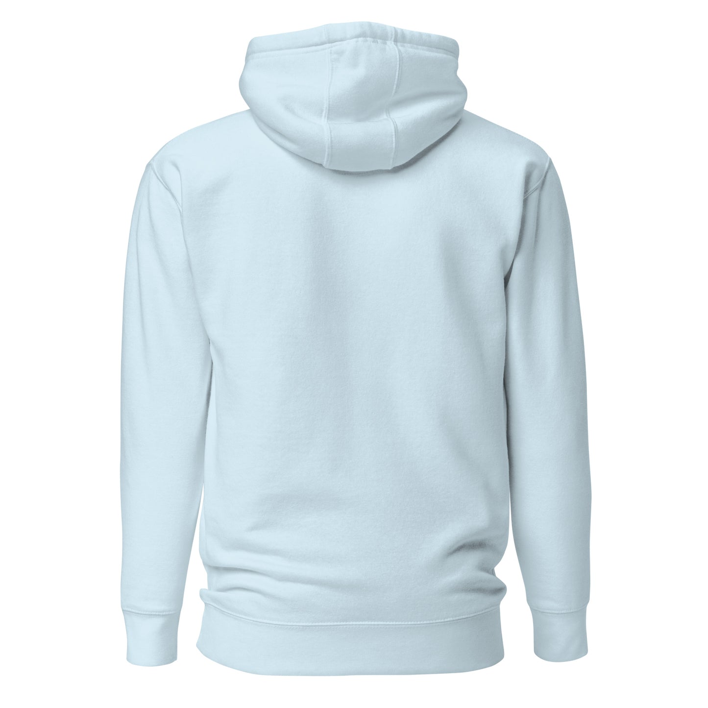 Back view of The Lord Is My Light Psalm 27:1 Christian hoodie in sky blue.