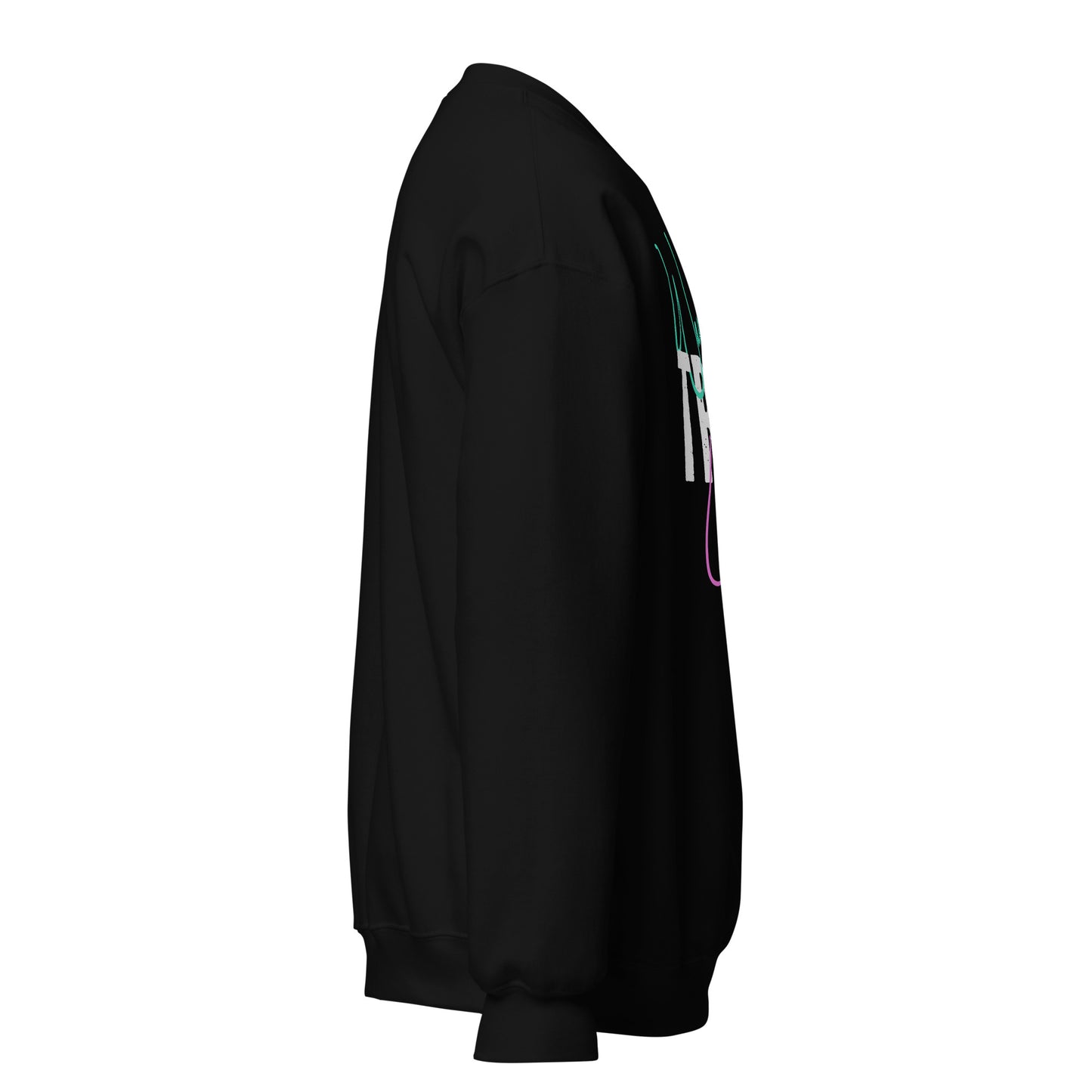 Side view of a black Way Truth Light sweatshirt.